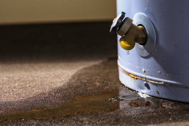 Best Sewage cleanup and water damage restoration  in Gladstone, MI