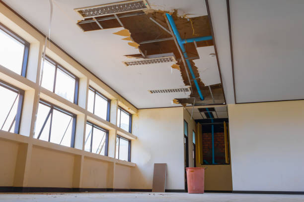 Best Water damage cleanup near me  in Gladstone, MI