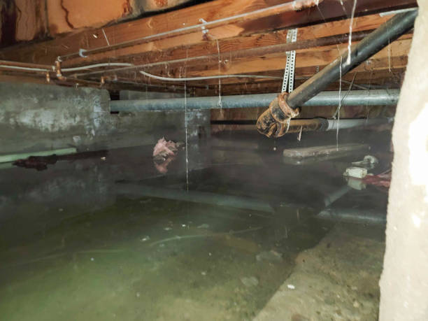 Best Fire Damage Restoration  in Gladstone, MI
