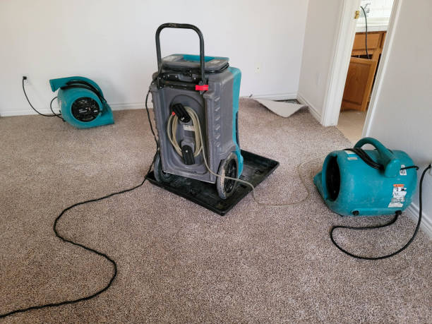 Best Basement water damage restoration  in Gladstone, MI
