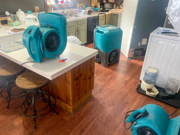 Best Ceiling water damage repair  in Gladstone, MI