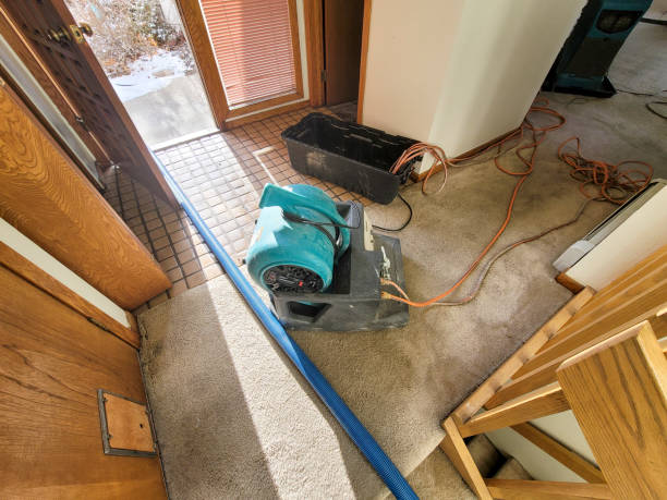 Best Commercial water damage restoration  in Gladstone, MI
