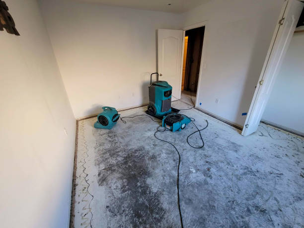Best Flood damage cleanup  in Gladstone, MI
