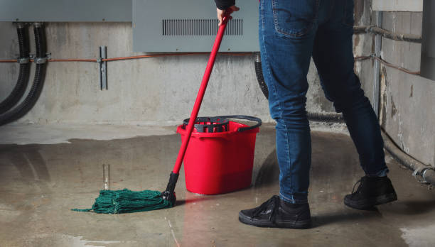 Best Basement water damage restoration  in Gladstone, MI