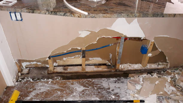 Best Flooded house restoration  in Gladstone, MI
