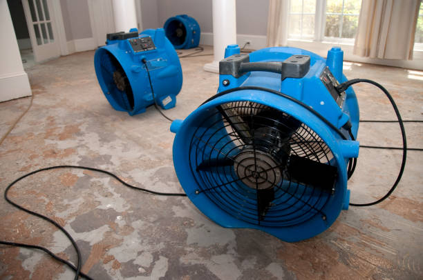 Best Fire Damage Restoration  in Gladstone, MI
