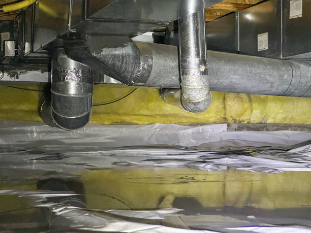 Best Flooded house restoration  in Gladstone, MI