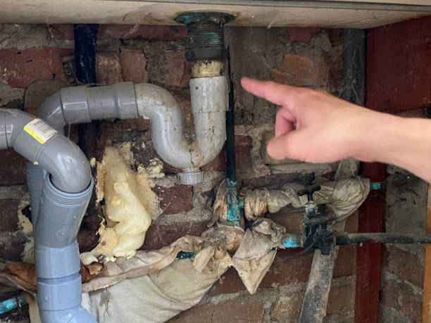 Best Sewage cleanup and water damage restoration  in Gladstone, MI