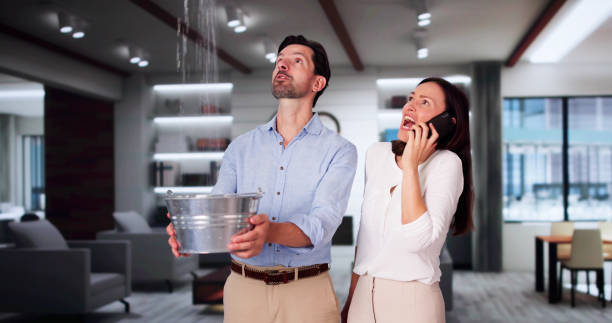 Carpet water damage restoration in Gladstone, MI