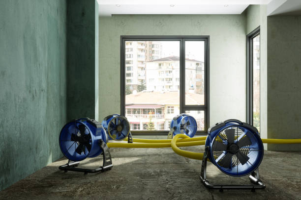 Best Commercial water damage restoration  in Gladstone, MI